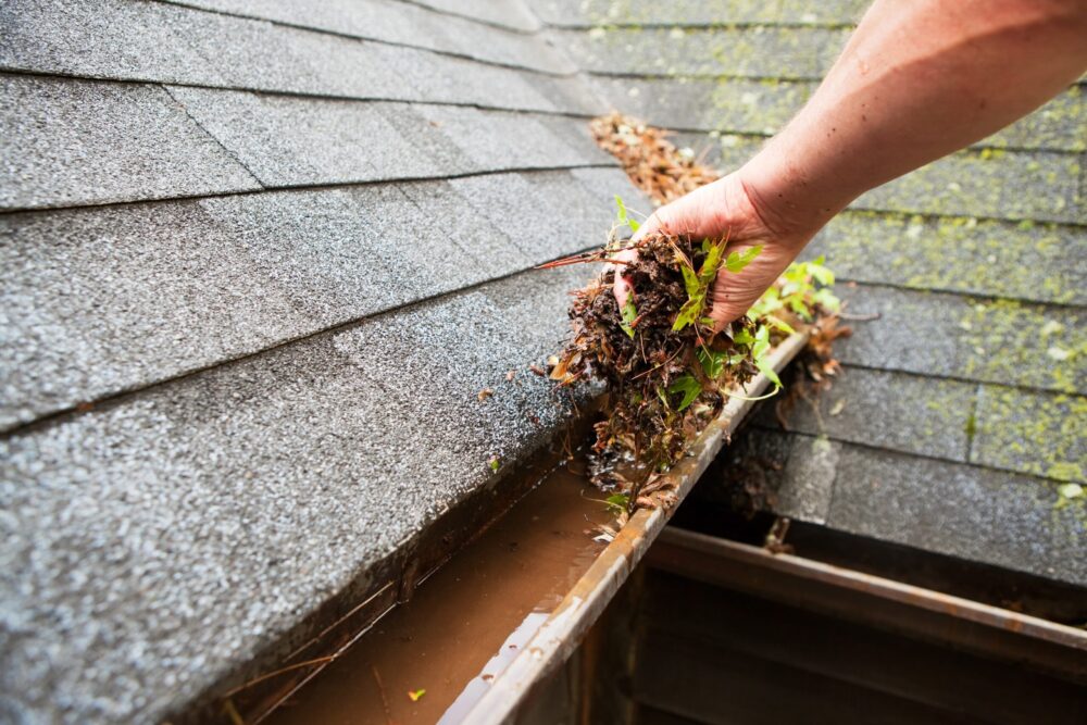Hand clearing leaves and organic debris from a home's gutter